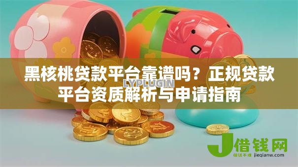 黑核桃贷款平台靠谱吗？正规贷款平台资质解析与申请指南
