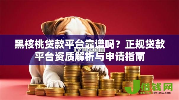 黑核桃贷款平台靠谱吗？正规贷款平台资质解析与申请指南