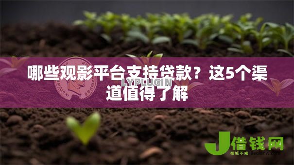 哪些观影平台支持贷款?这5个渠道值得了解 哪些观影平台支持贷款?这5个渠道值得了解