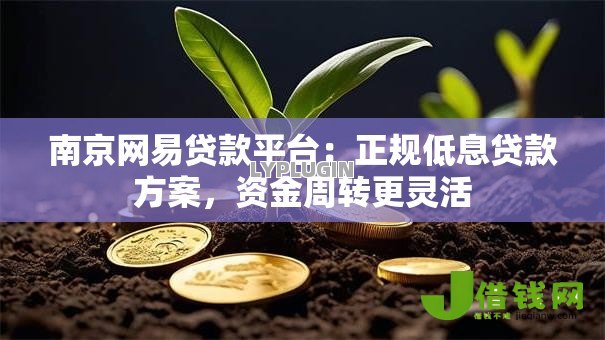 南京网易贷款平台:正规低息贷款方案,资金周转更灵活 南京网易贷款平台:正规低息贷款方案,资金周转更灵活