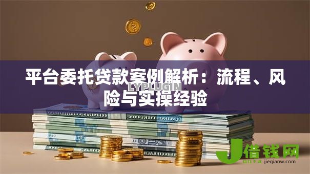 平台委托贷款案例解析：流程、风险与实操经验