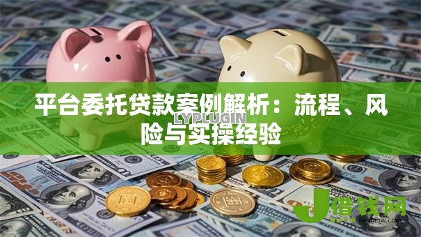 平台委托贷款案例解析：流程、风险与实操经验