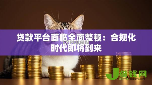 贷款平台面临全面整顿:合规化时代即将到来 贷款平台面临全面整顿:合规化时代即将到来