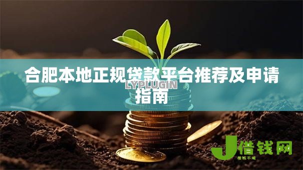 合肥本地正规贷款平台推荐及申请指南