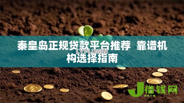 秦皇岛正规贷款平台推荐  靠谱机构选择指南