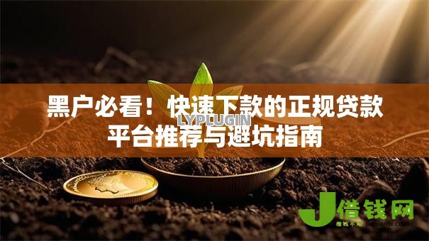 黑户必看！快速下款的正规贷款平台推荐与避坑指南