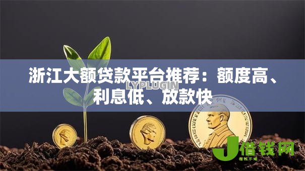 浙江大额贷款平台推荐：额度高、利息低、放款快