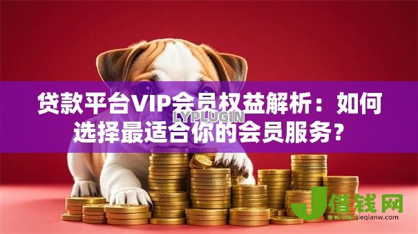 贷款平台VIP会员权益解析：如何选择最适合你的会员服务？