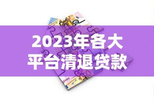 2023年各大平台清退贷款政策解读及借款人应对策略 2023年各大平台清退贷款政策解读及借款人应对策略