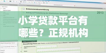 小学贷款平台有哪些?正规机构推荐及申请流程详解 小学贷款平台有哪些?正规机构推荐及申请流程详解