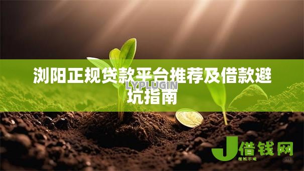 浏阳正规贷款平台推荐及借款避坑指南