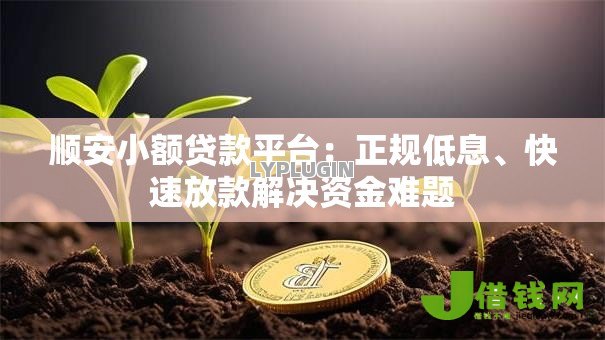 顺安小额贷款平台:正规低息、快速放款解决资金难题 顺安小额贷款平台:正规低息、快速放款解决资金难题