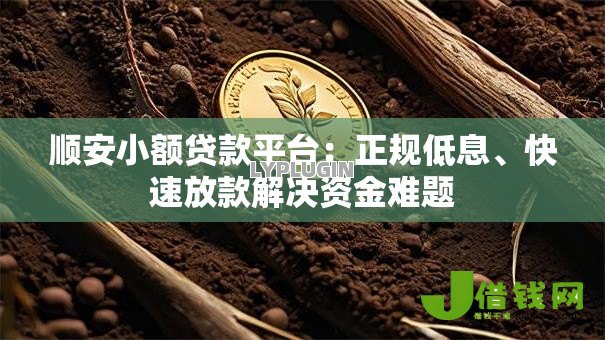 顺安小额贷款平台:正规低息、快速放款解决资金难题 顺安小额贷款平台:正规低息、快速放款解决资金难题