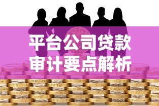 平台公司贷款审计要点解析与风险防范指南