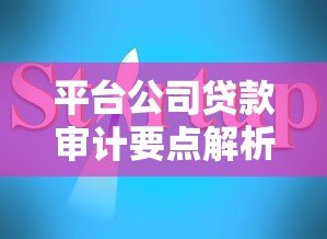 平台公司贷款审计要点解析与风险防范指南