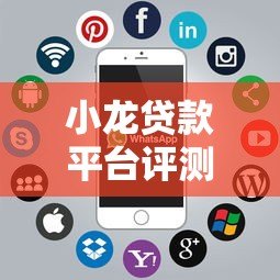 小龙贷款平台评测:正规持牌机构如何快速申请低息贷款 小龙贷款平台评测:正规持牌机构如何快速申请低息贷款