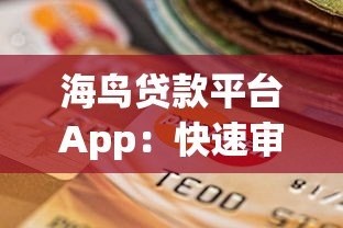 海鸟贷款平台App：快速审批低息借贷新选择