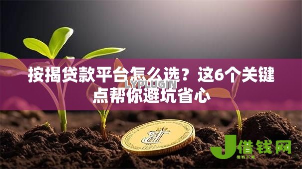按揭贷款平台怎么选?这6个关键点帮你避坑省心 按揭贷款平台怎么选?这6个关键点帮你避坑省心