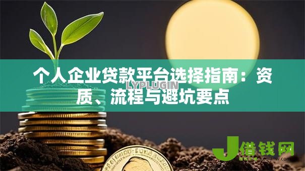 个人企业贷款平台选择指南:资质、流程与避坑要点 个人企业贷款平台选择指南:资质、流程与避坑要点