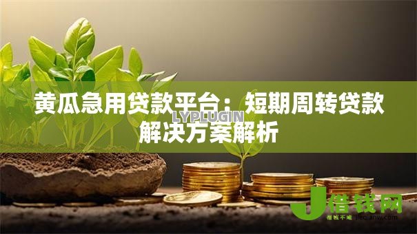 黄瓜急用贷款平台:短期周转贷款解决方案解析 黄瓜急用贷款平台:短期周转贷款解决方案解析