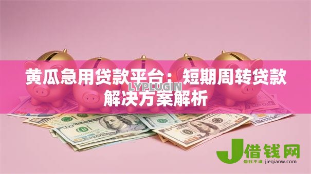 黄瓜急用贷款平台:短期周转贷款解决方案解析 黄瓜急用贷款平台:短期周转贷款解决方案解析