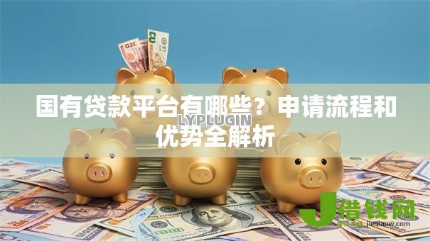 国有贷款平台有哪些？申请流程和优势全解析