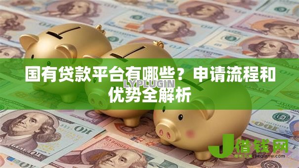 国有贷款平台有哪些？申请流程和优势全解析
