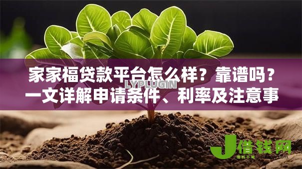 家家福贷款平台怎么样?靠谱吗?一文详解申请条件、利率及注意事项 家家福贷款平台怎么样?靠谱吗?一文详解申请条件、利率及注意事项