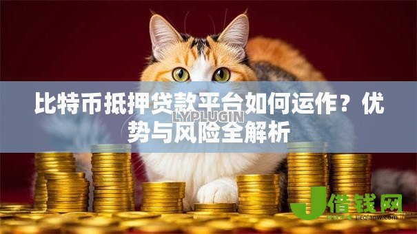 比特币抵押贷款平台如何运作？优势与风险全解析