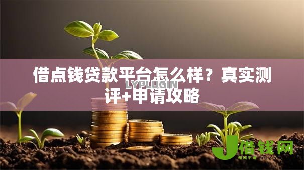 借点钱贷款平台怎么样?真实测评+申请攻略 借点钱贷款平台怎么样?真实测评+申请攻略