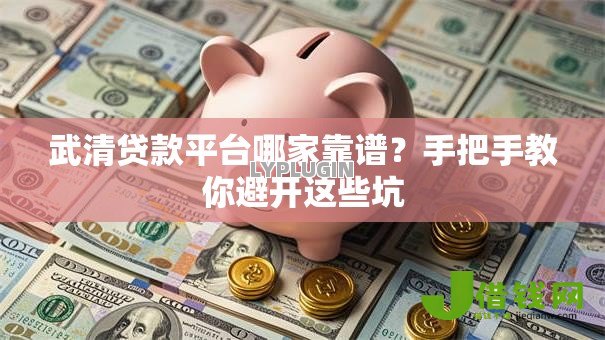 武清贷款平台哪家靠谱?手把手教你避开这些坑 武清贷款平台哪家靠谱?手把手教你避开这些坑