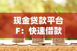 现金贷款平台F：快速借款指南与注意事项