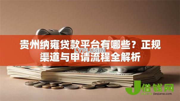 贵州纳雍贷款平台有哪些？正规渠道与申请流程全解析