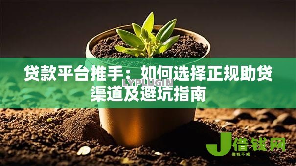 贷款平台推手：如何选择正规助贷渠道及避坑指南
