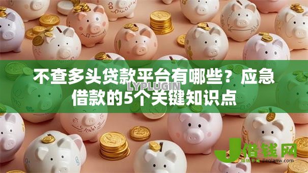 不查多头贷款平台有哪些？应急借款的5个关键知识点