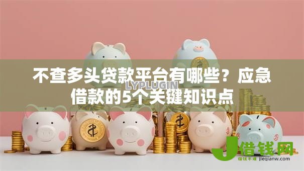不查多头贷款平台有哪些？应急借款的5个关键知识点