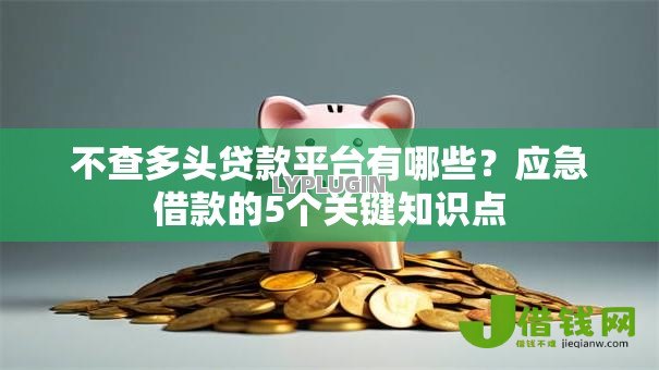 不查多头贷款平台有哪些？应急借款的5个关键知识点