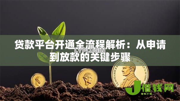 贷款平台开通全流程解析:从申请到放款的关键步骤 贷款平台开通全流程解析:从申请到放款的关键步骤