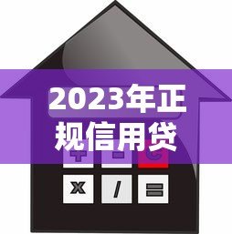 2023年正规信用贷款平台推荐及申请指南 2023年正规信用贷款平台推荐及申请指南