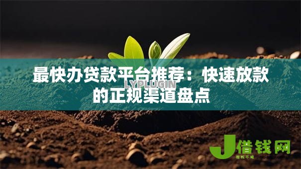 最快办贷款平台推荐：快速放款的正规渠道盘点