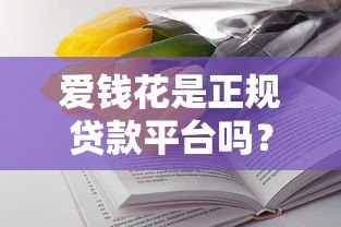 爱钱花是正规贷款平台吗？深度解析资质与安全性