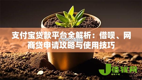 支付宝贷款平台全解析:借呗、网商贷申请攻略与使用技巧 支付宝贷款平台全解析:借呗、网商贷申请攻略与使用技巧