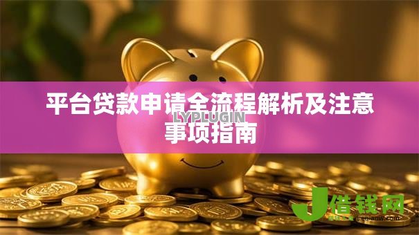 平台贷款申请全流程解析及注意事项指南 平台贷款申请全流程解析及注意事项指南