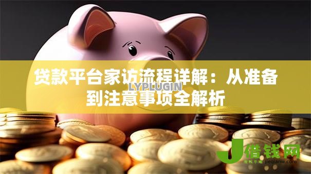 贷款平台家访流程详解:从准备到注意事项全解析 贷款平台家访流程详解:从准备到注意事项全解析
