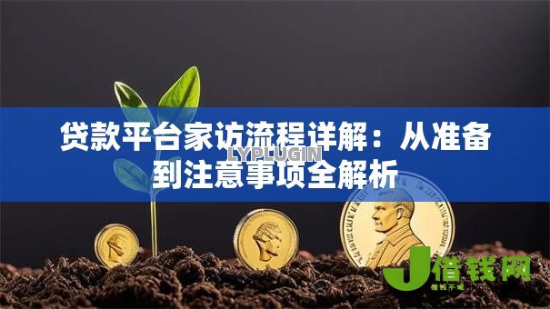 贷款平台家访流程详解:从准备到注意事项全解析 贷款平台家访流程详解:从准备到注意事项全解析