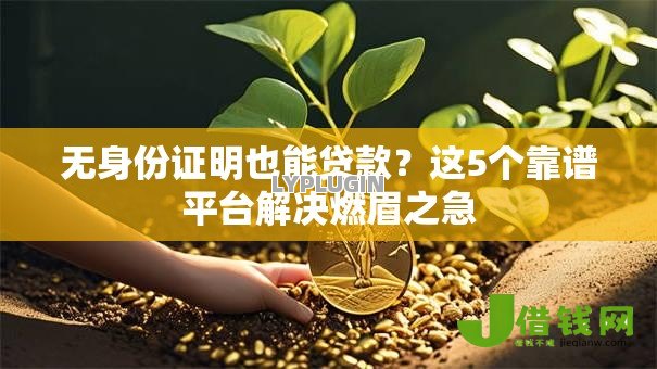 无身份证明也能贷款？这5个靠谱平台解决燃眉之急