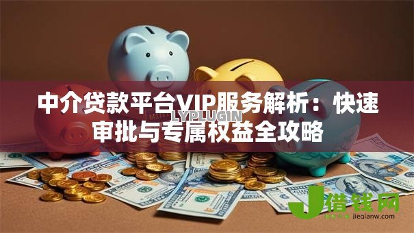 中介贷款平台VIP服务解析:快速审批与专属权益全攻略 中介贷款平台VIP服务解析:快速审批与专属权益全攻略