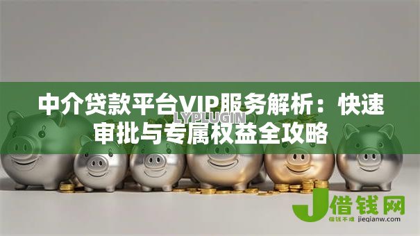 中介贷款平台VIP服务解析:快速审批与专属权益全攻略 中介贷款平台VIP服务解析:快速审批与专属权益全攻略