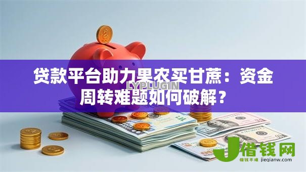 贷款平台助力果农买甘蔗：资金周转难题如何破解？