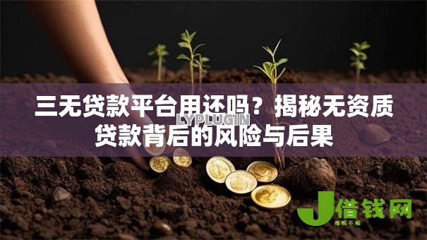 三无贷款平台用还吗？揭秘无资质贷款背后的风险与后果